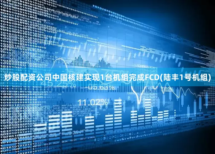 炒股配资公司中国核建实现1台机组完成FCD(陆丰1号机组)