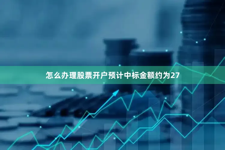 怎么办理股票开户预计中标金额约为27