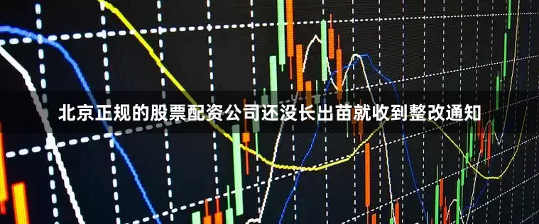 北京正规的股票配资公司还没长出苗就收到整改通知
