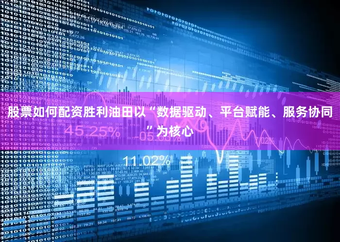 股票如何配资胜利油田以“数据驱动、平台赋能、服务协同”为核心